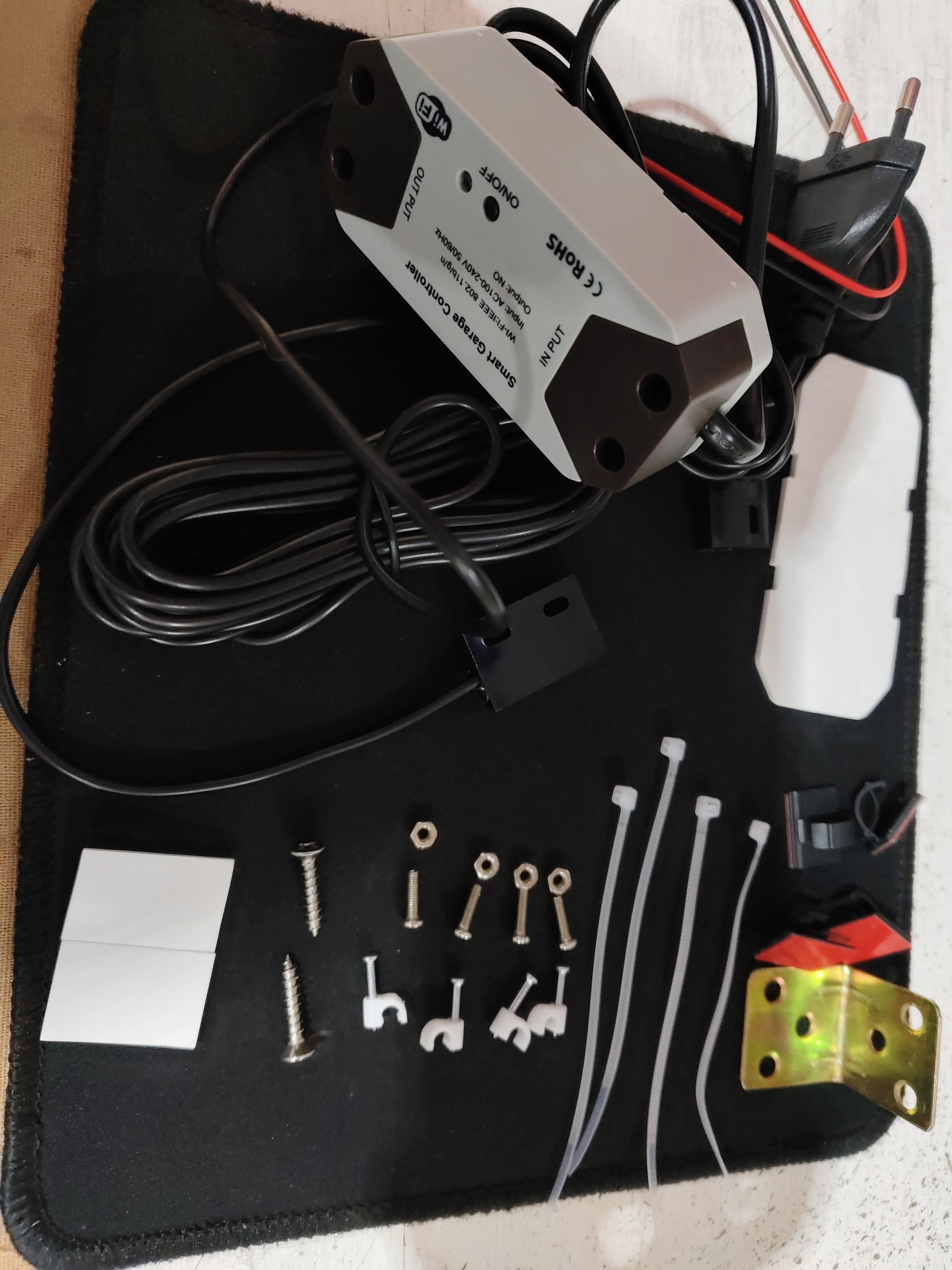 Voice Control Garage Door