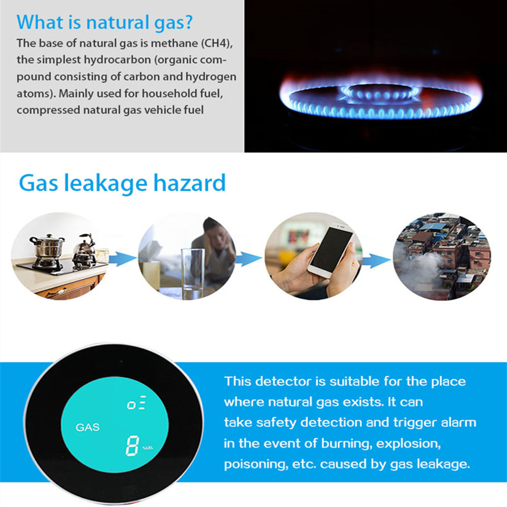 Smart Wireless Gas Detector