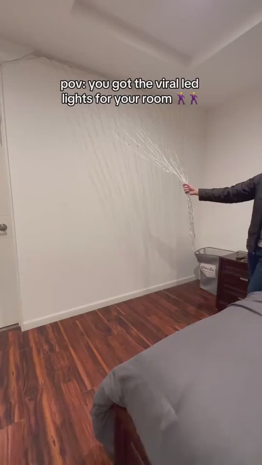 1.mp4